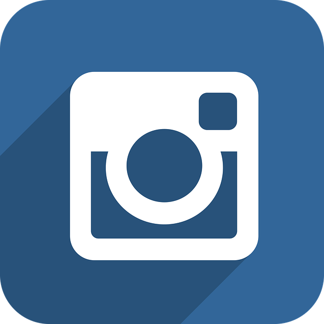 logo instagram bleu rasoir service
